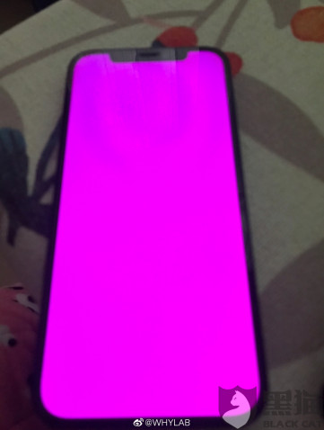 iPhone 13 страдают от проблемы розового экрана, неисправимой апдейтами